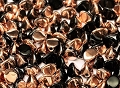50 Pinch Beads Jet Copper